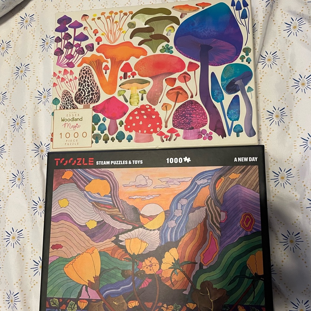 Two 1000 piece puzzles